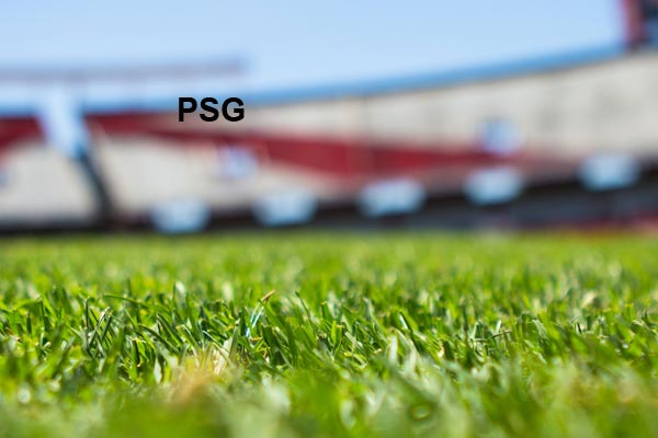 FSG Fotbollsbiljetter